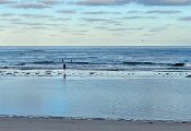 IMG_2826